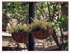 集美大嶝岛+南靖云水谣两日游